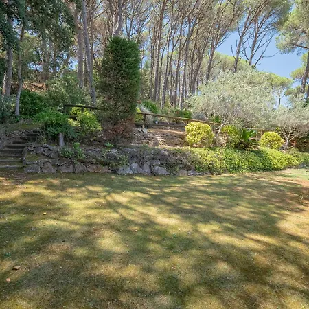 Ds-1 6 Pax Apartment Calella De Palafrugell